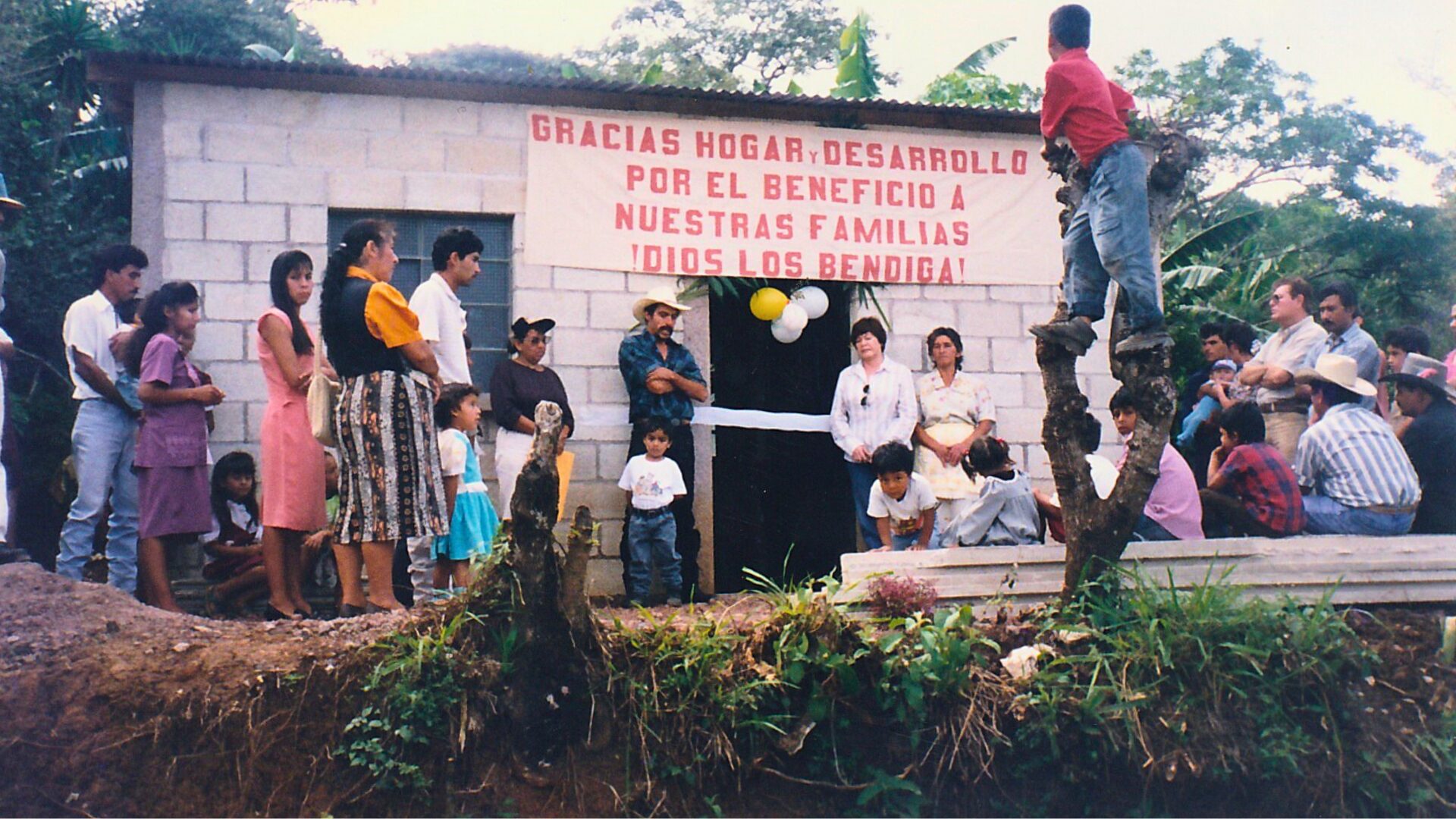231198 Proyecto vivienda